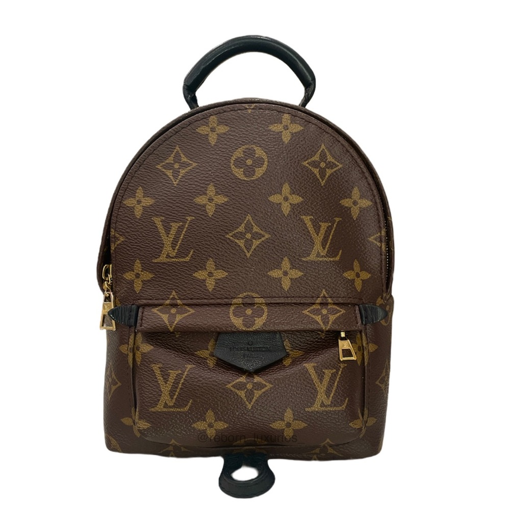Louis Vuitton Palm Springs Mini Backpack